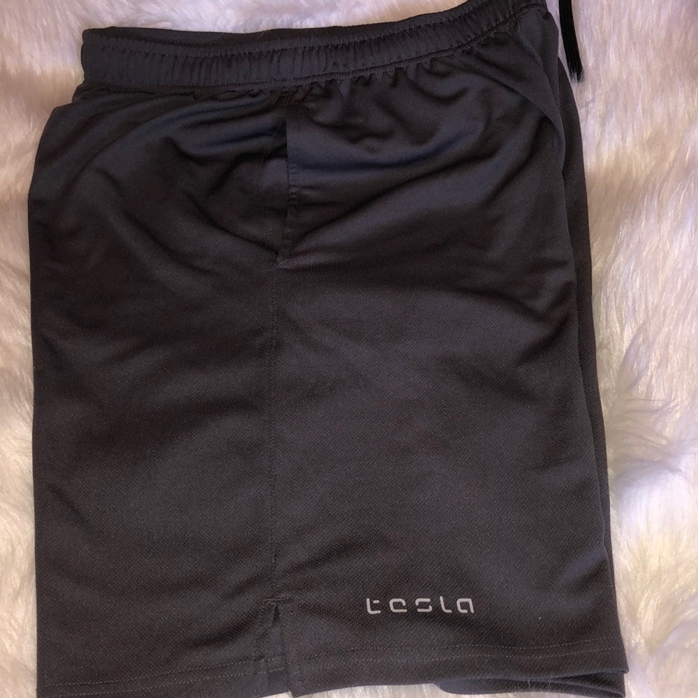 Tesla Shorts